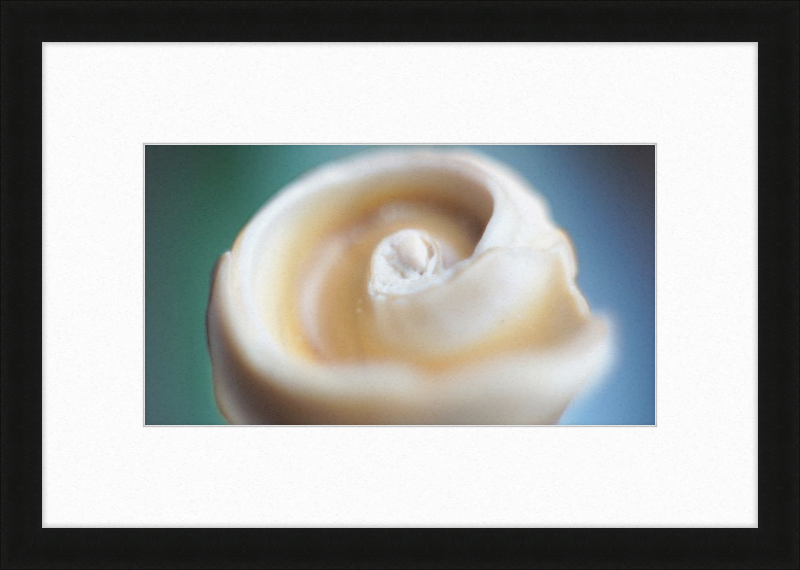 Shell CA2679