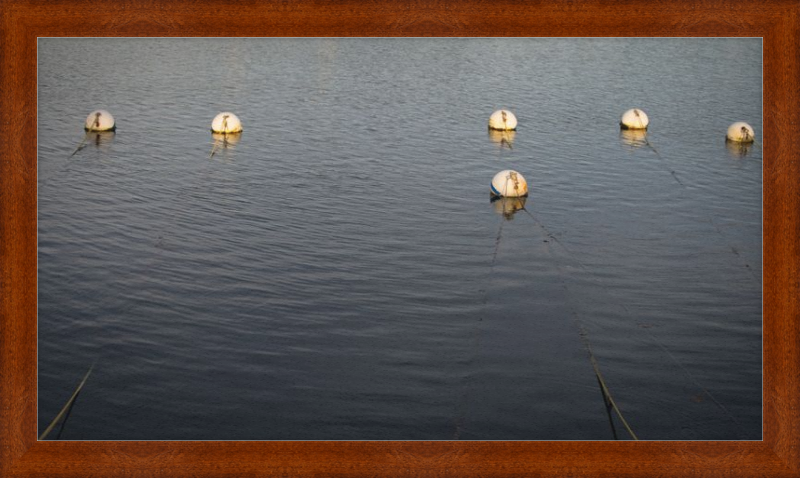 Early Morning Moorings