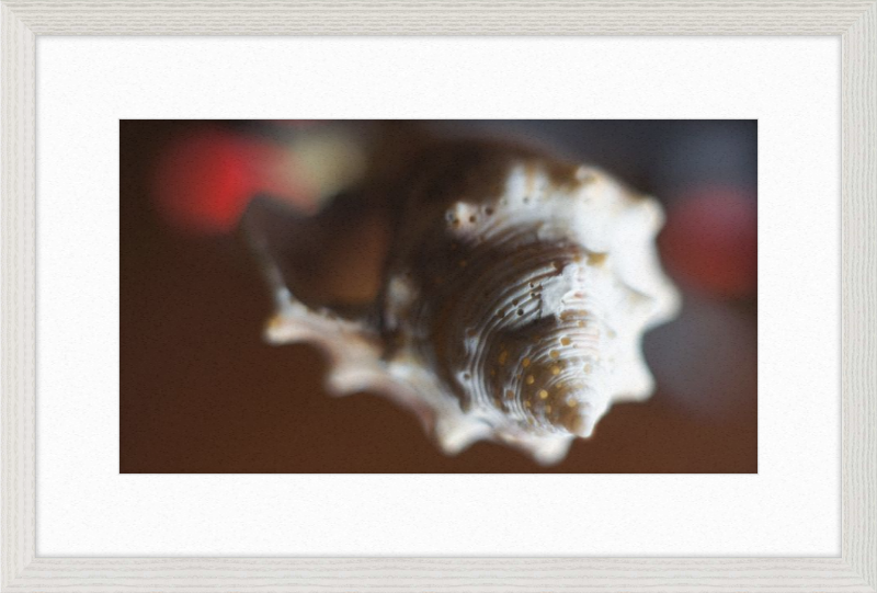 Shell CA2663
