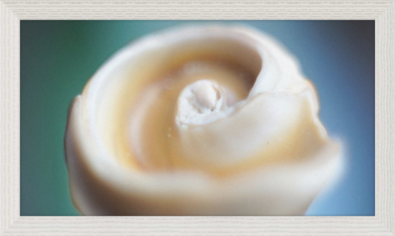 Shell CA2679