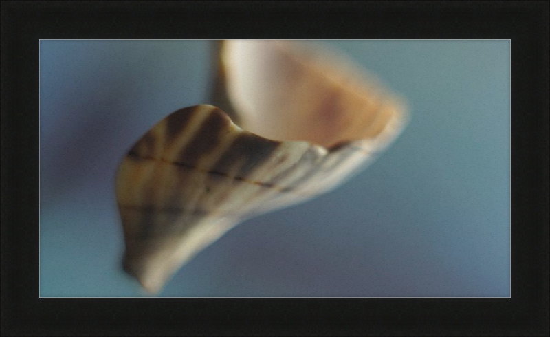 Shell CA2717