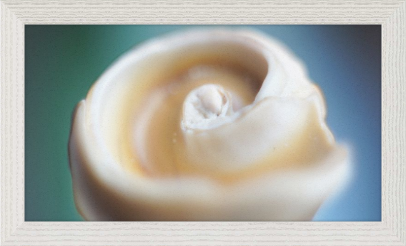 Shell CA2679