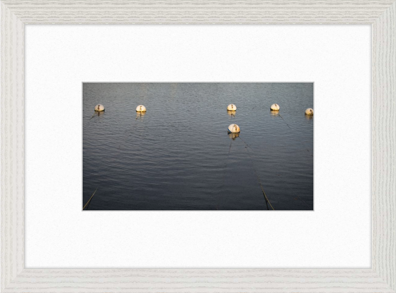 Early Morning Moorings