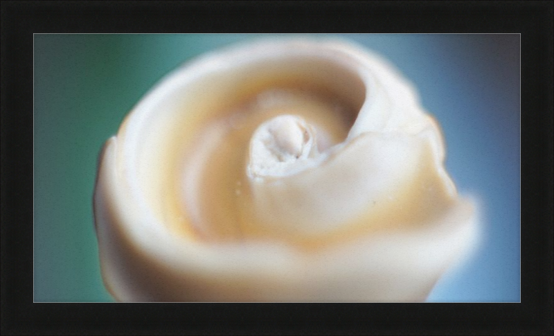 Shell CA2679