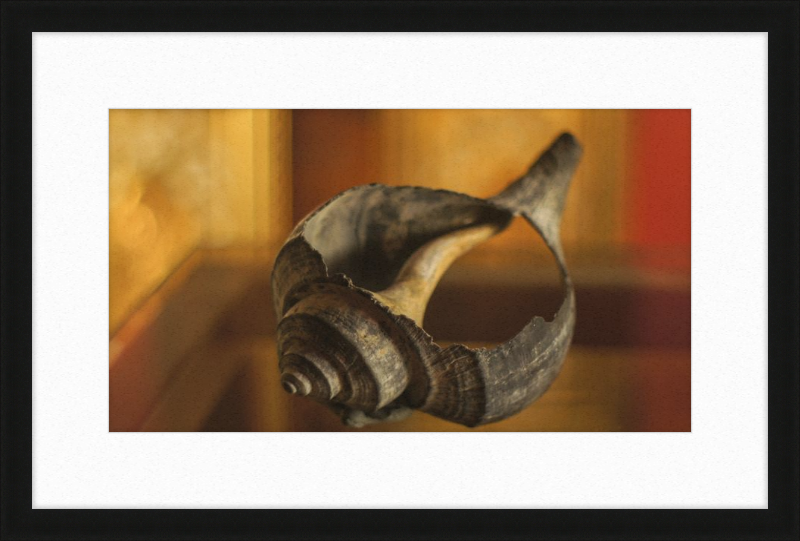 Shell CA2967