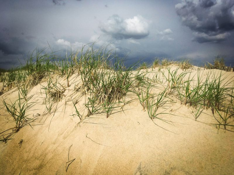 Storm Dune