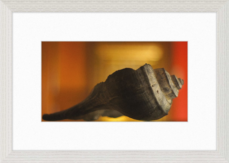 Shell CA2963