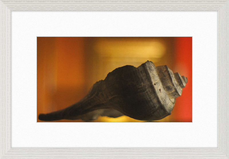 Shell CA2963