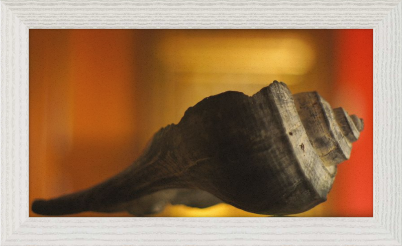 Shell CA2963