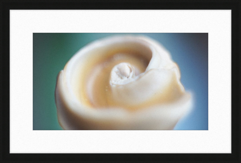 Shell CA2679