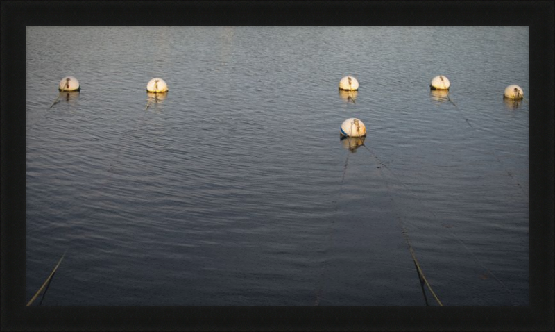 Early Morning Moorings