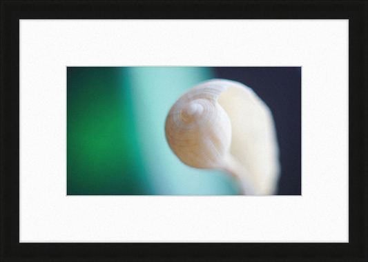 Shell CA2695