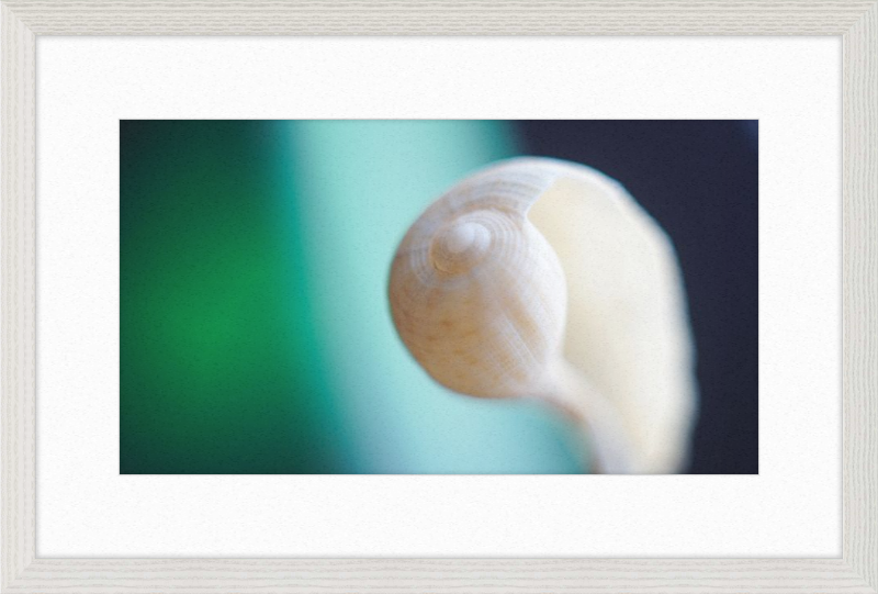Shell CA2695