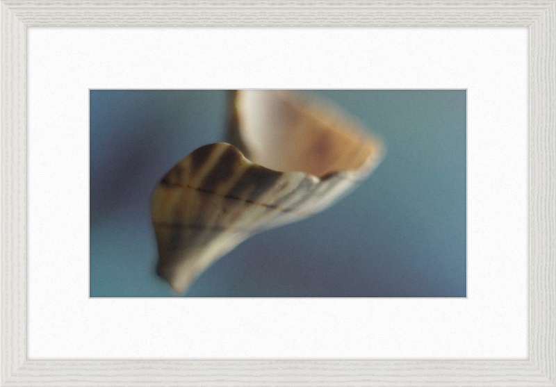 Shell CA2717