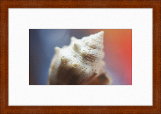 Shell CA2633