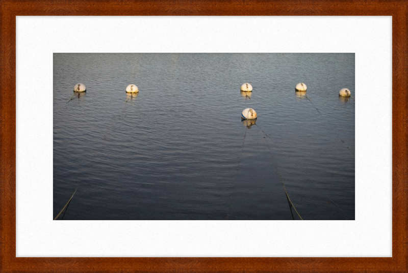 Early Morning Moorings