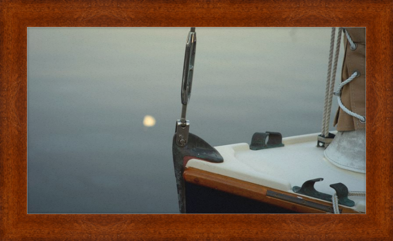Forestay with setting moon reflection