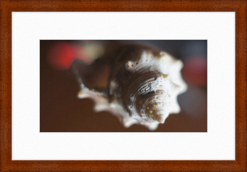 Shell CA2663