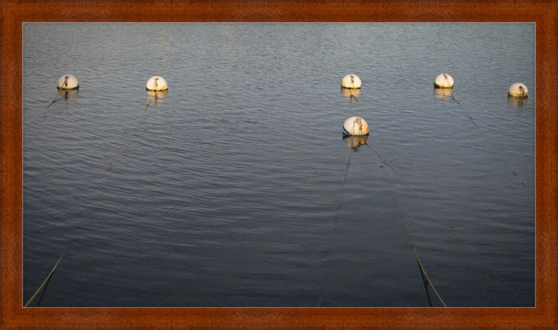 Early Morning Moorings
