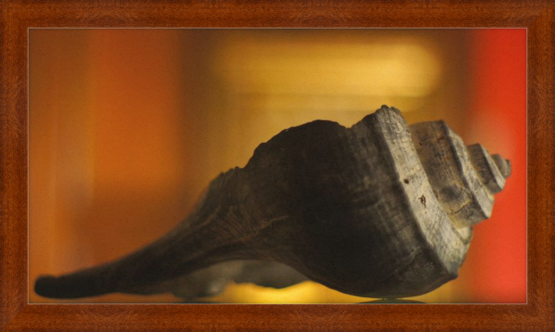 Shell CA2963