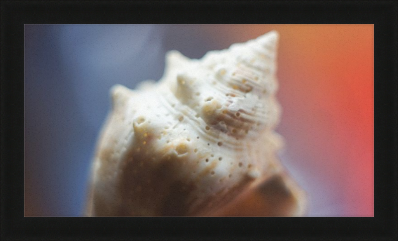 Shell CA2633