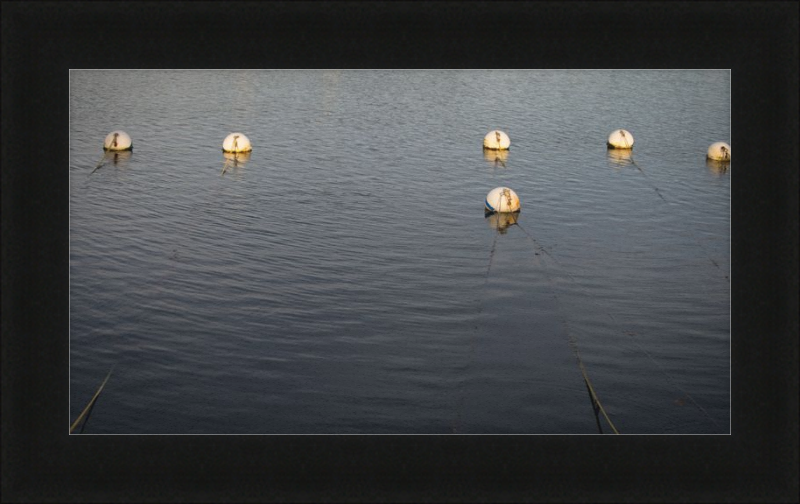 Early Morning Moorings