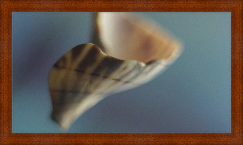 Shell CA2717
