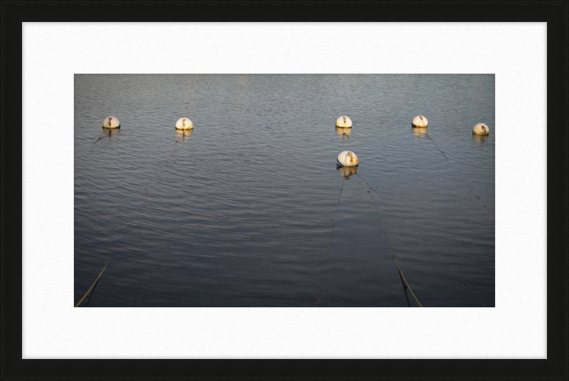 Early Morning Moorings