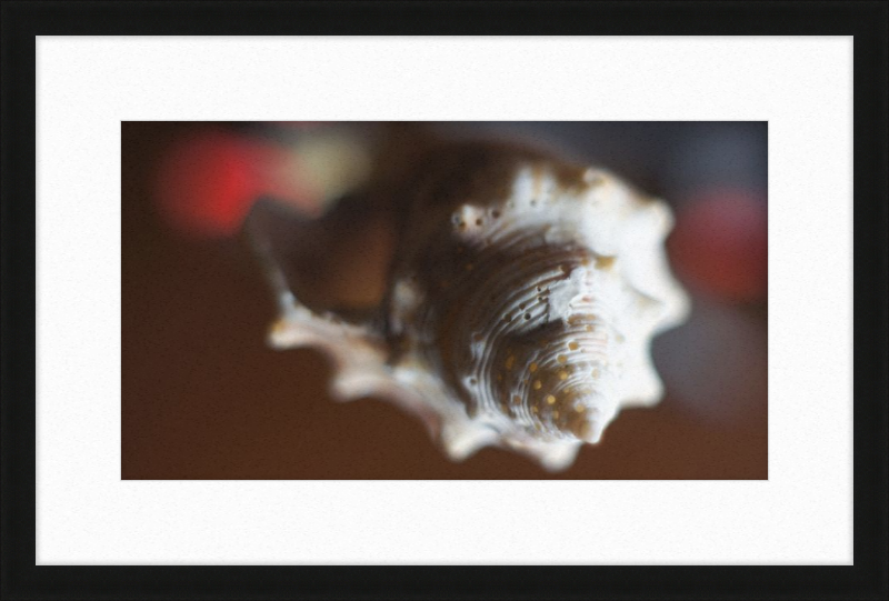 Shell CA2663