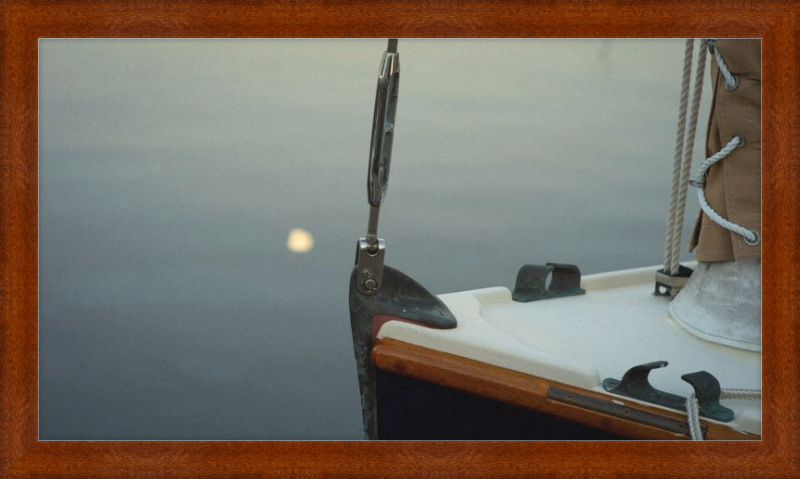 Forestay with setting moon reflection