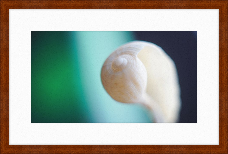Shell CA2695