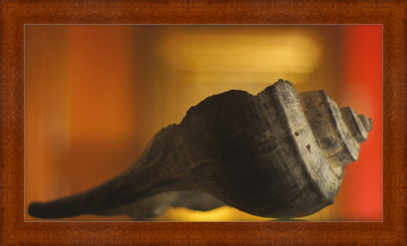 Shell CA2963