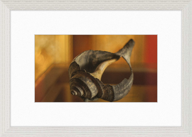 Shell CA2967