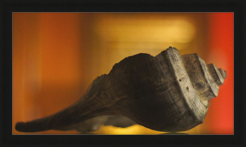 Shell CA2963