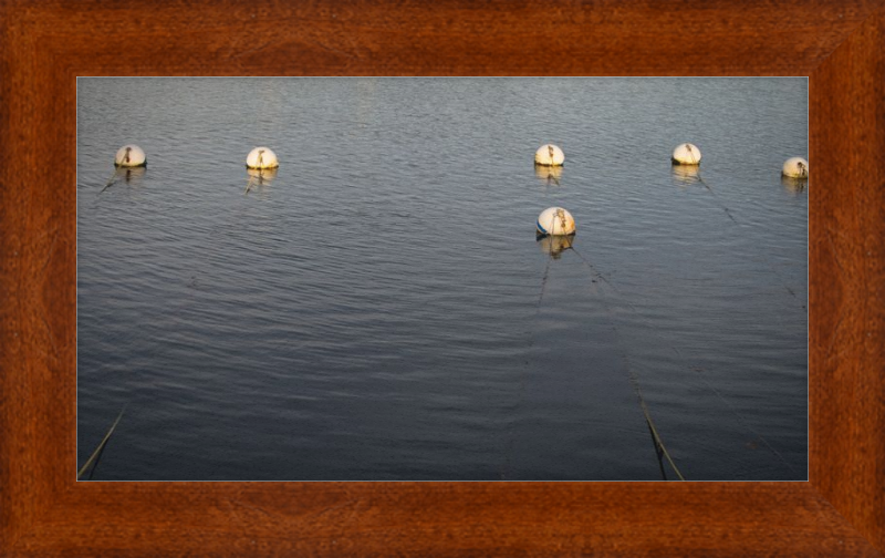 Early Morning Moorings