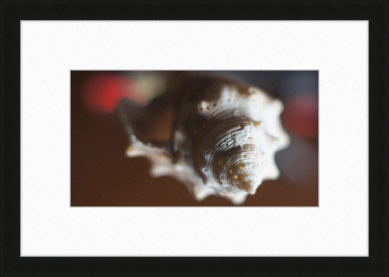 Shell CA2663