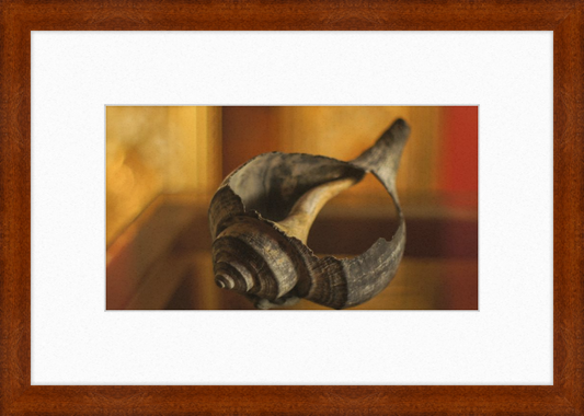 Shell CA2967