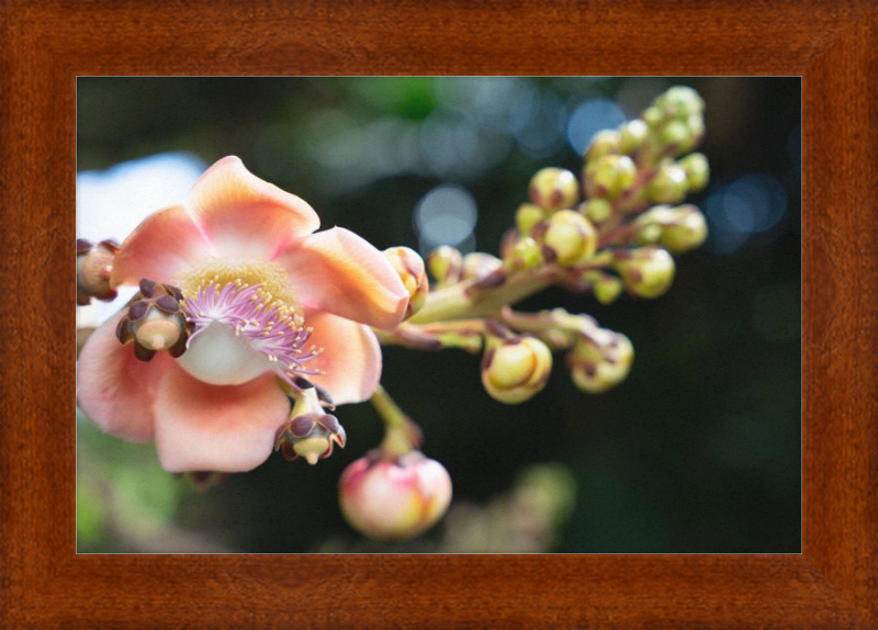 South Florida Beauty