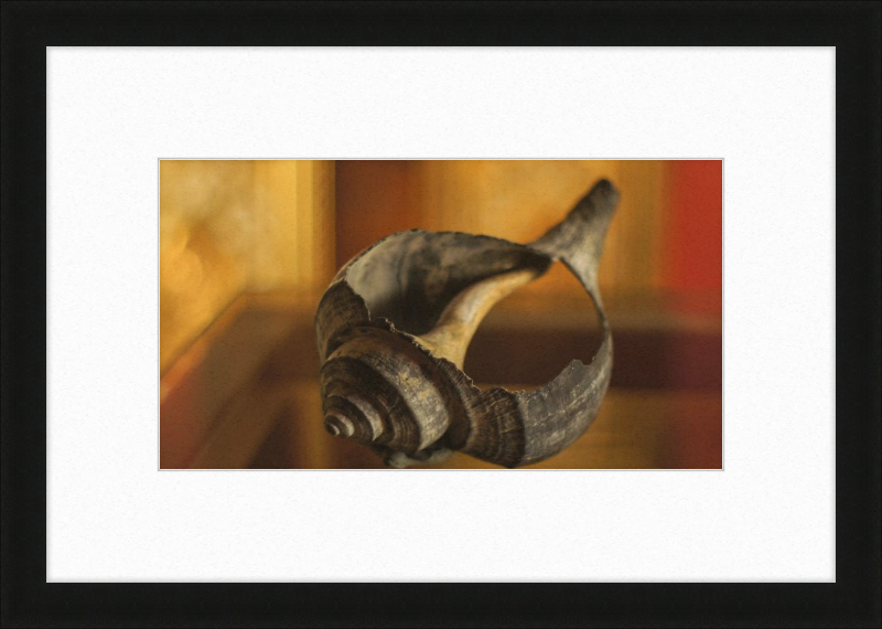 Shell CA2967