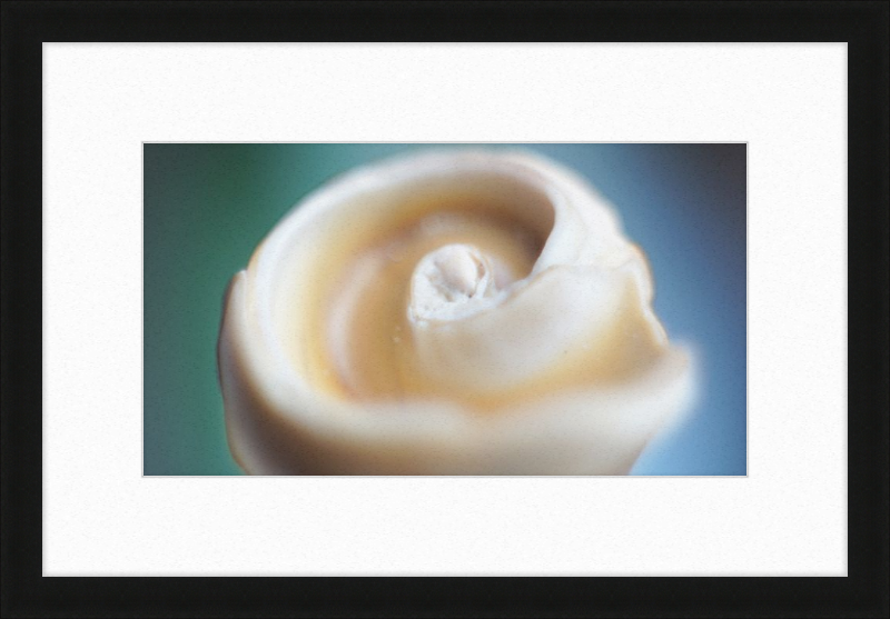 Shell CA2679