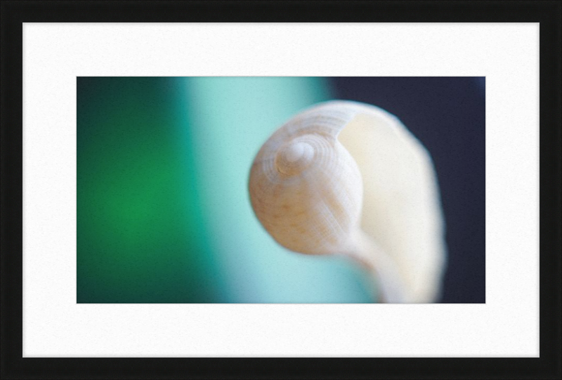 Shell CA2695