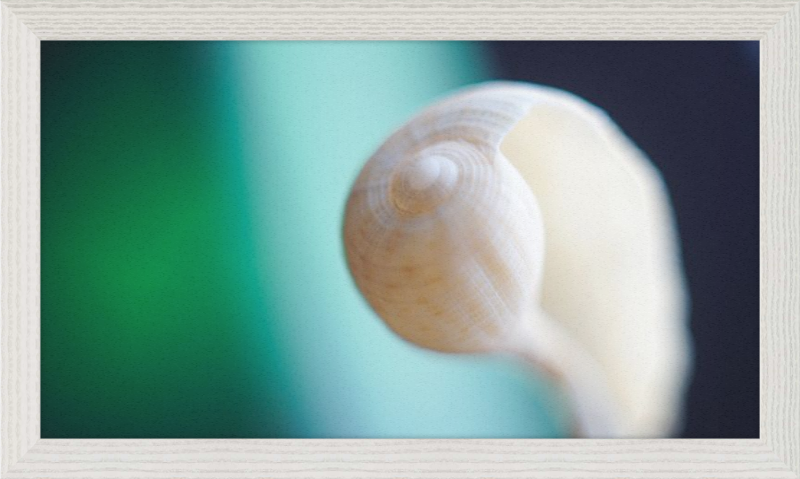 Shell CA2695