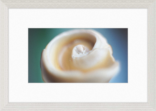 Shell CA2679