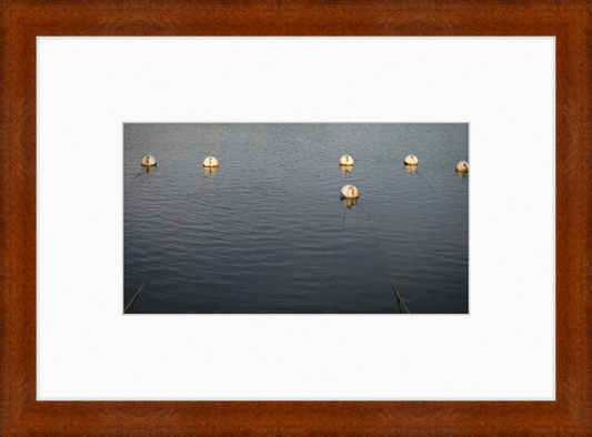 Early Morning Moorings