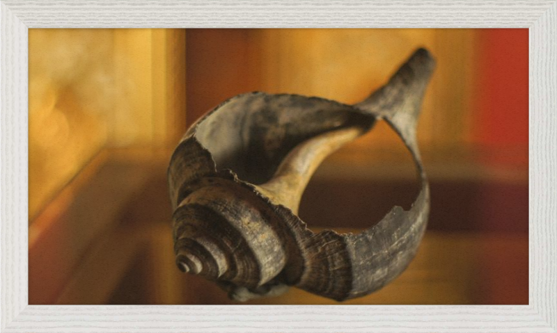 Shell CA2967