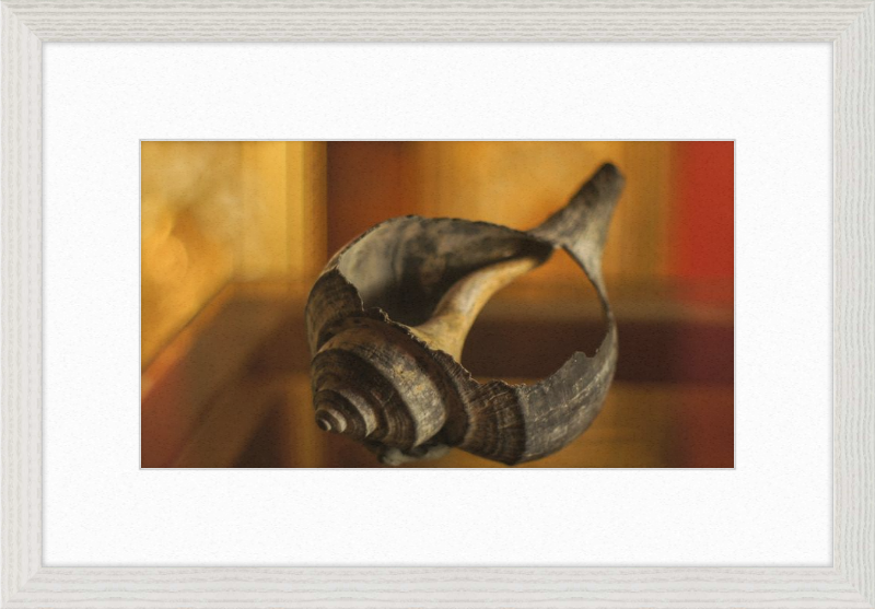 Shell CA2967