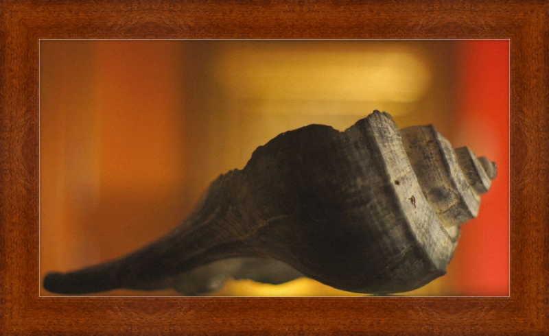 Shell CA2963