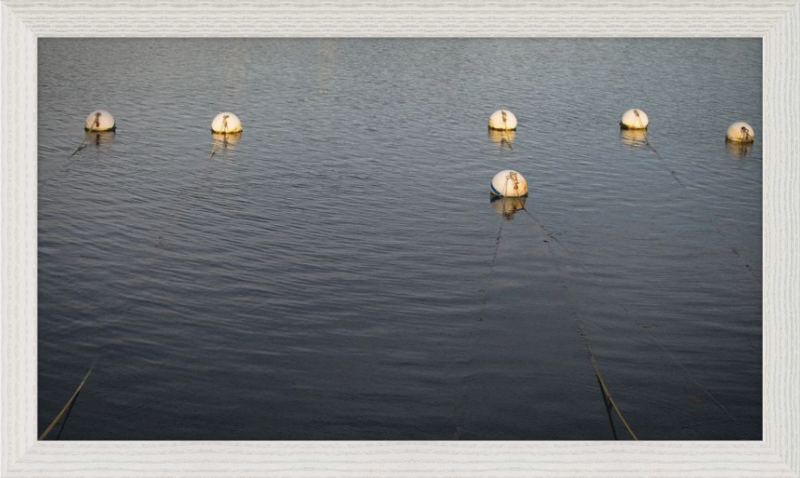 Early Morning Moorings