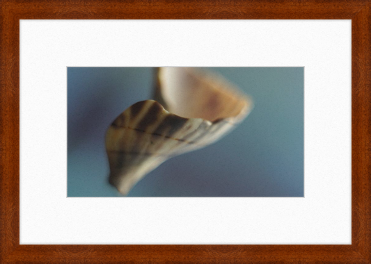 Shell CA2717