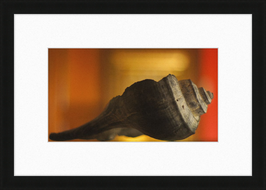 Shell CA2963